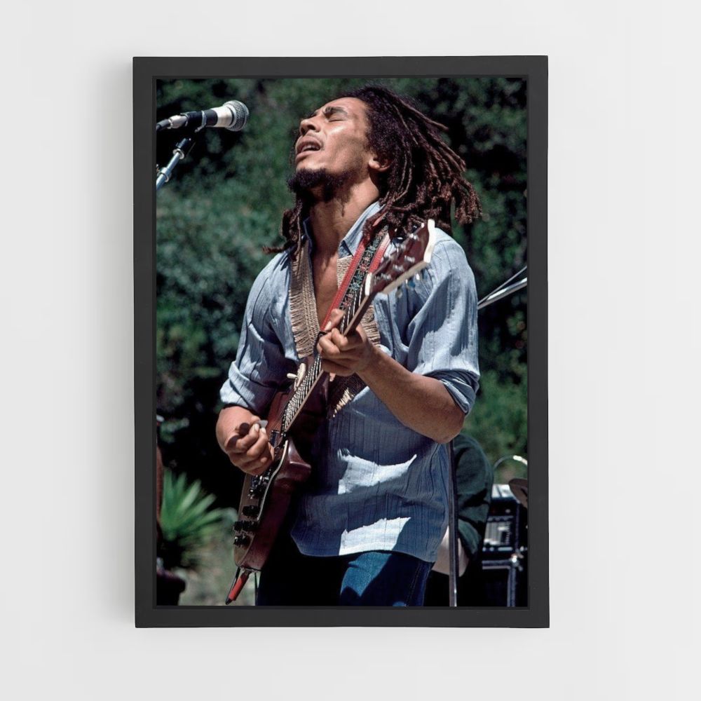 Poster Bob Marley singt