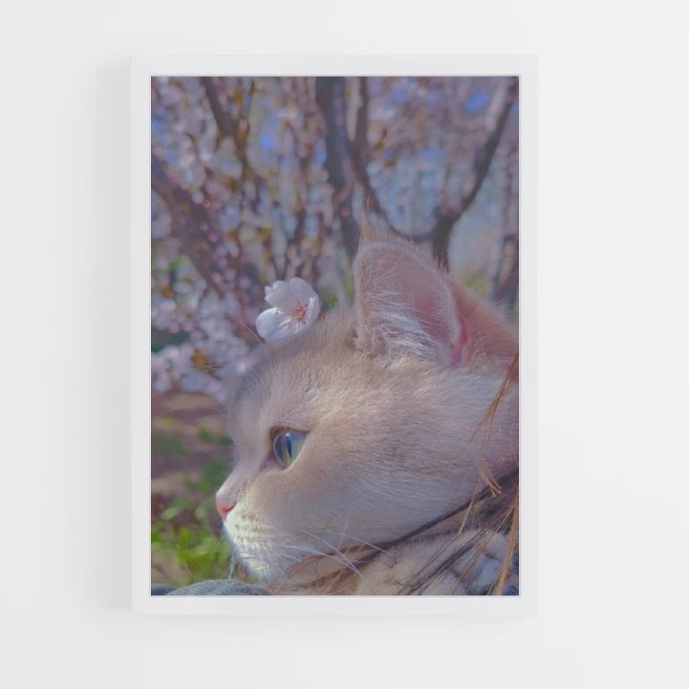 Sakura-Katzen-Poster