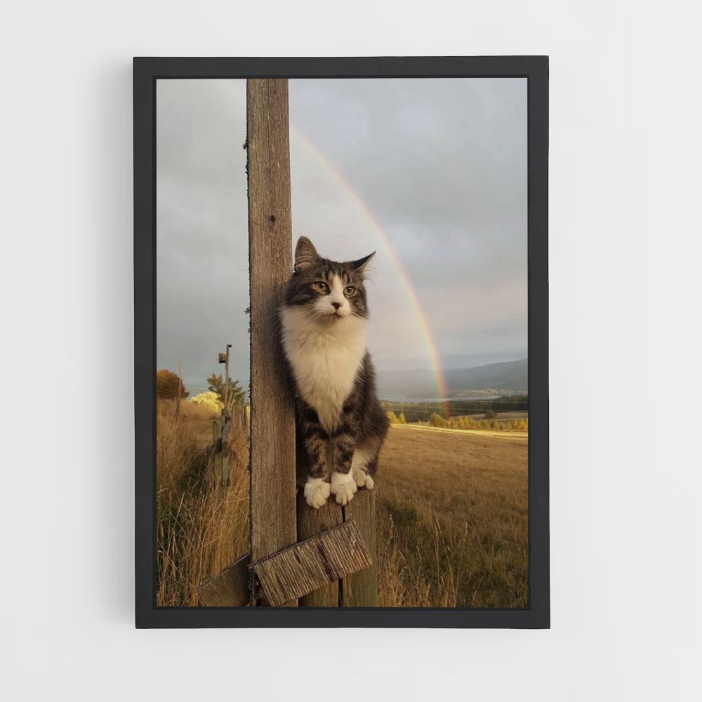 Regenbogen-Katzen-Poster