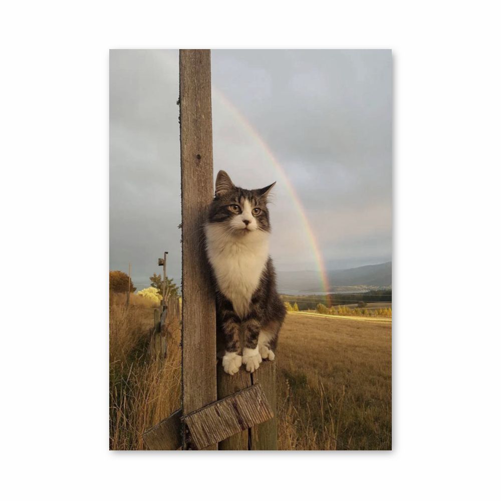 Regenbogen-Katzen-Poster