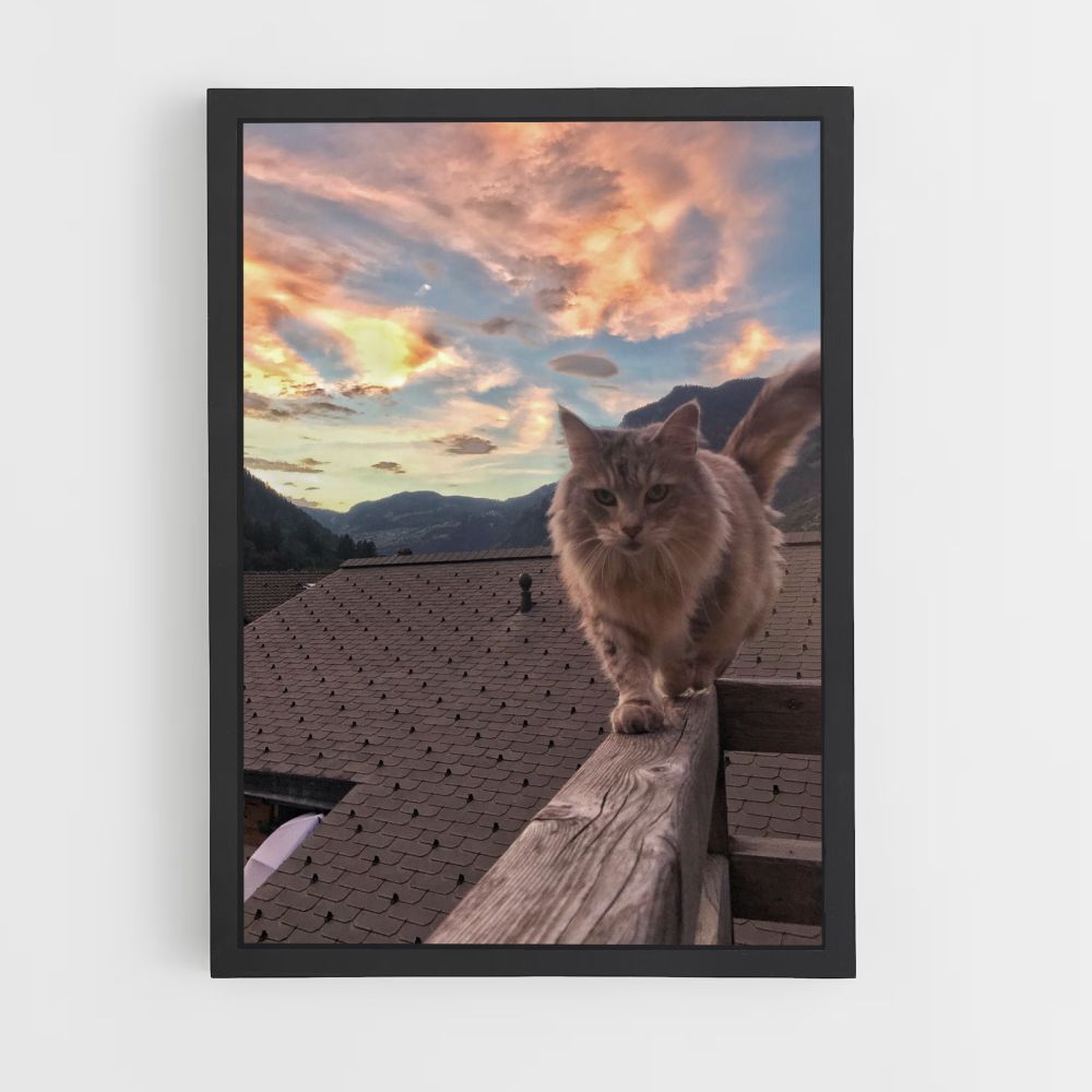 Katzen-Natur-Poster