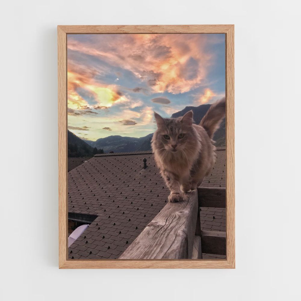 Katzen-Natur-Poster