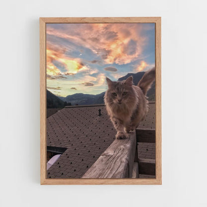 Katzen-Natur-Poster