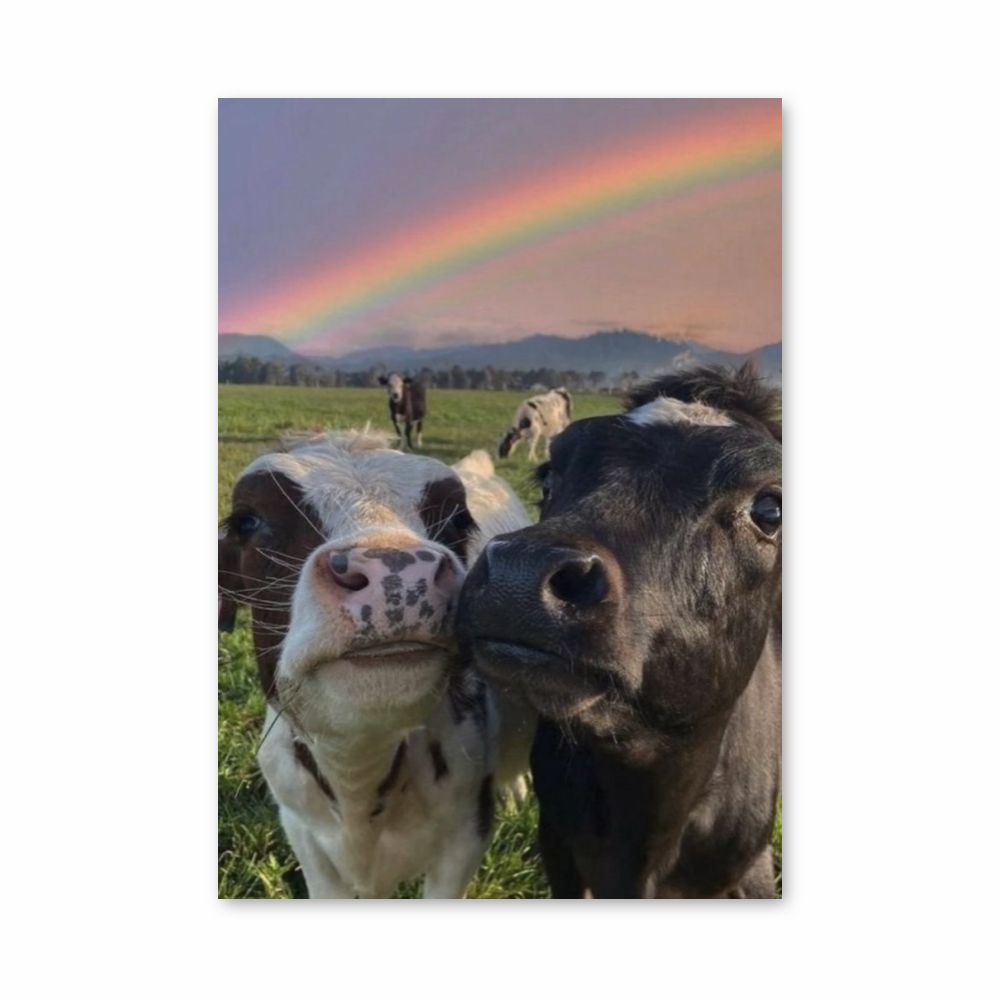 Regenbogen-Kuh-Poster