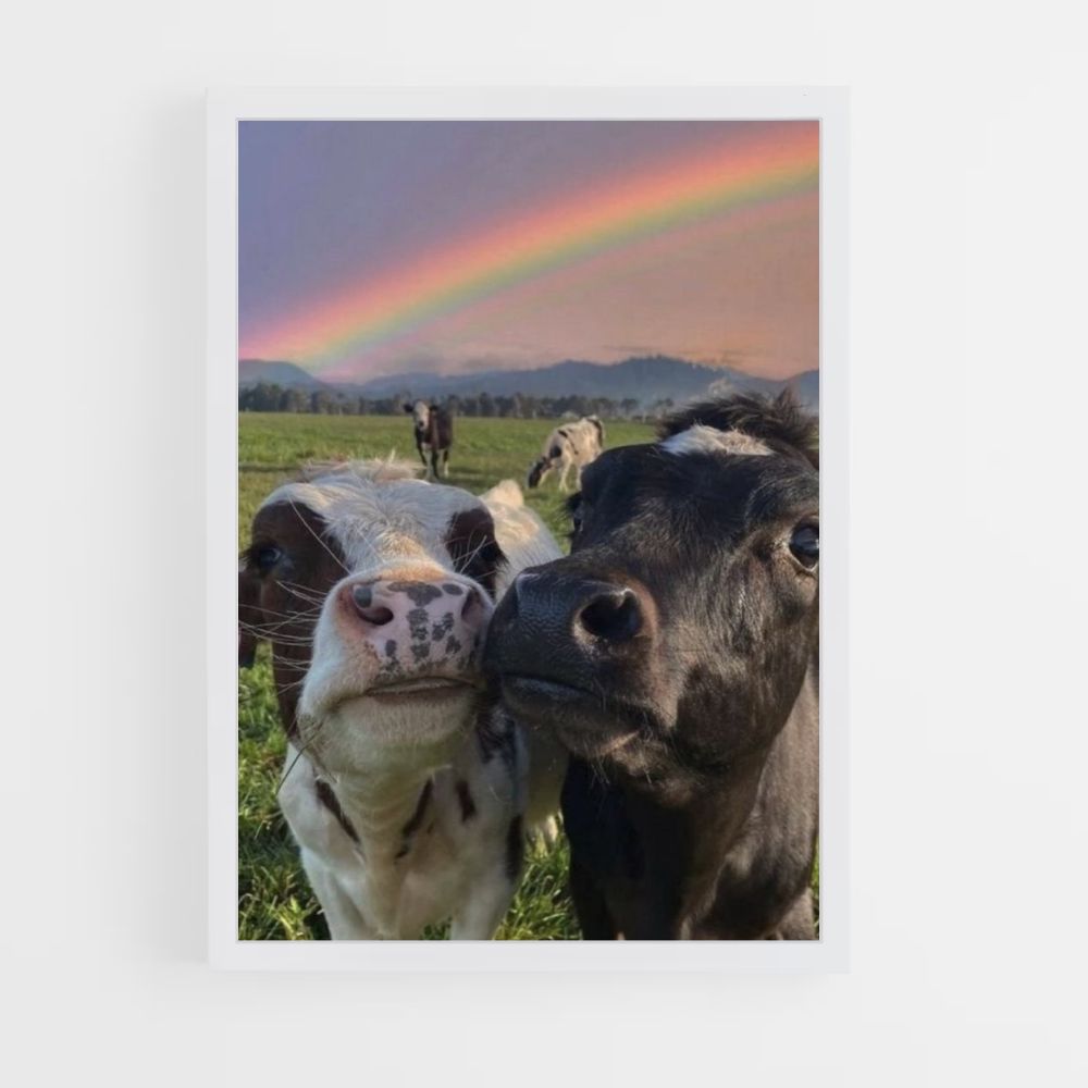 Regenbogen-Kuh-Poster