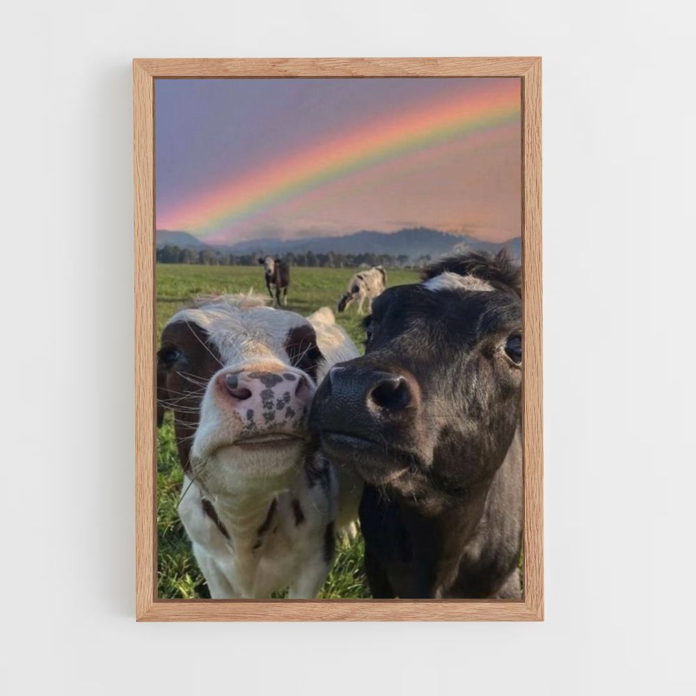 Regenbogen-Kuh-Poster