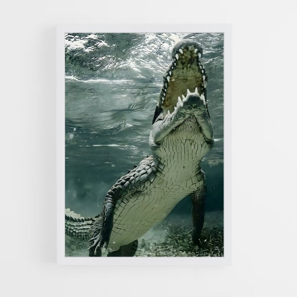 crocodile-4 cadre Blanc