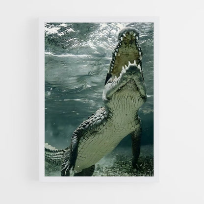 crocodile-4 cadre Blanc