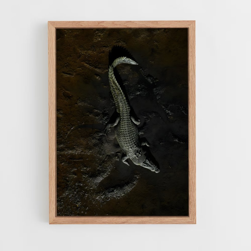 crocodile-5 cadre Bois clair