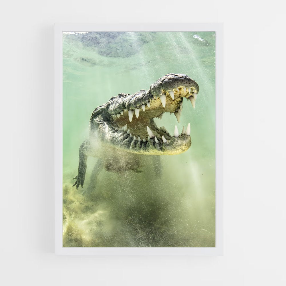 crocodile-9 cadre Blanc