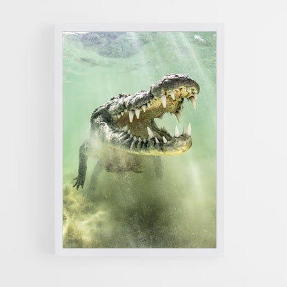 crocodile-9 cadre Blanc