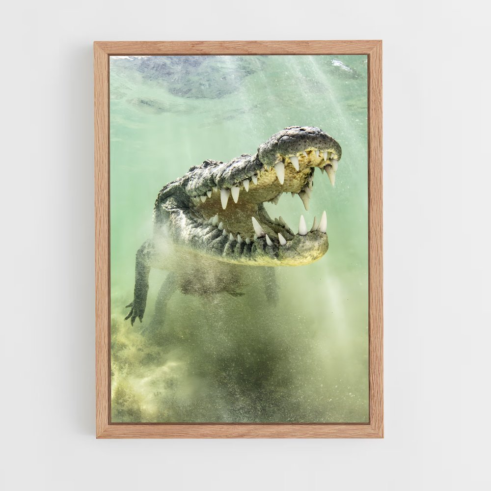 crocodile-9 cadre Bois clair
