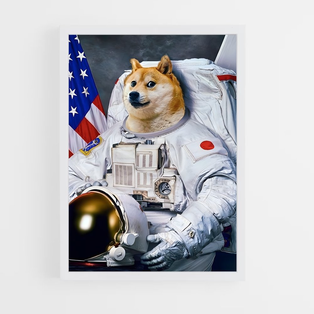 crypto-6 cadre Blanc
