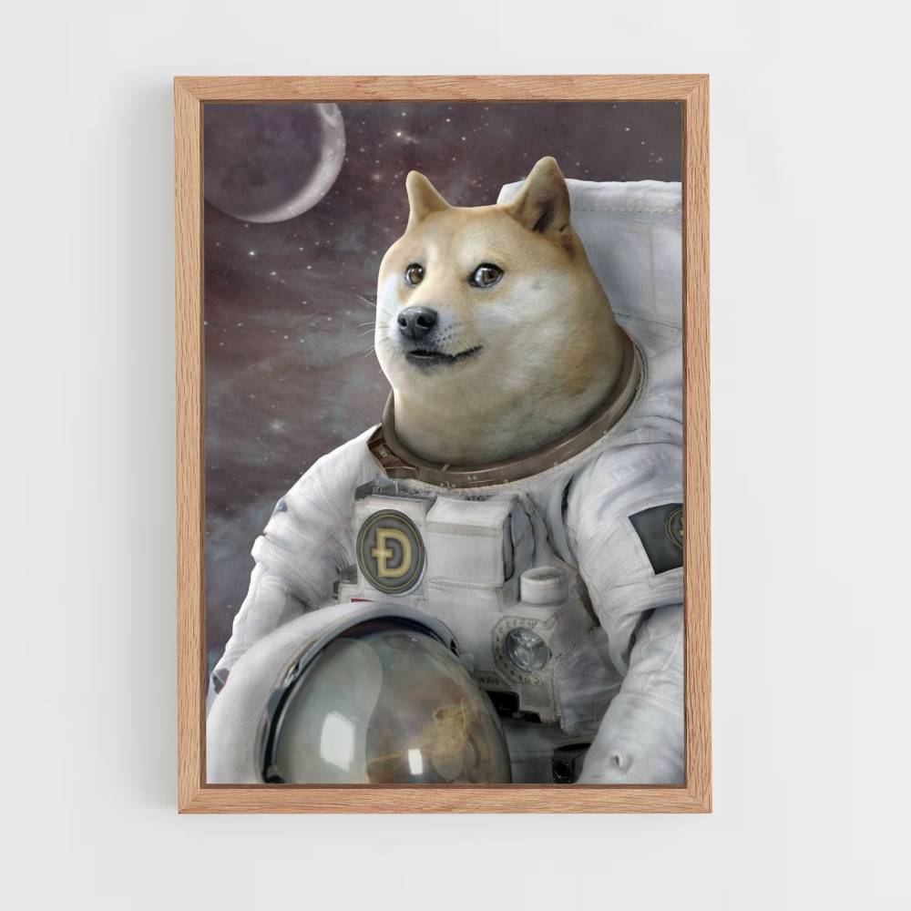 Poster Doge im Weltraum