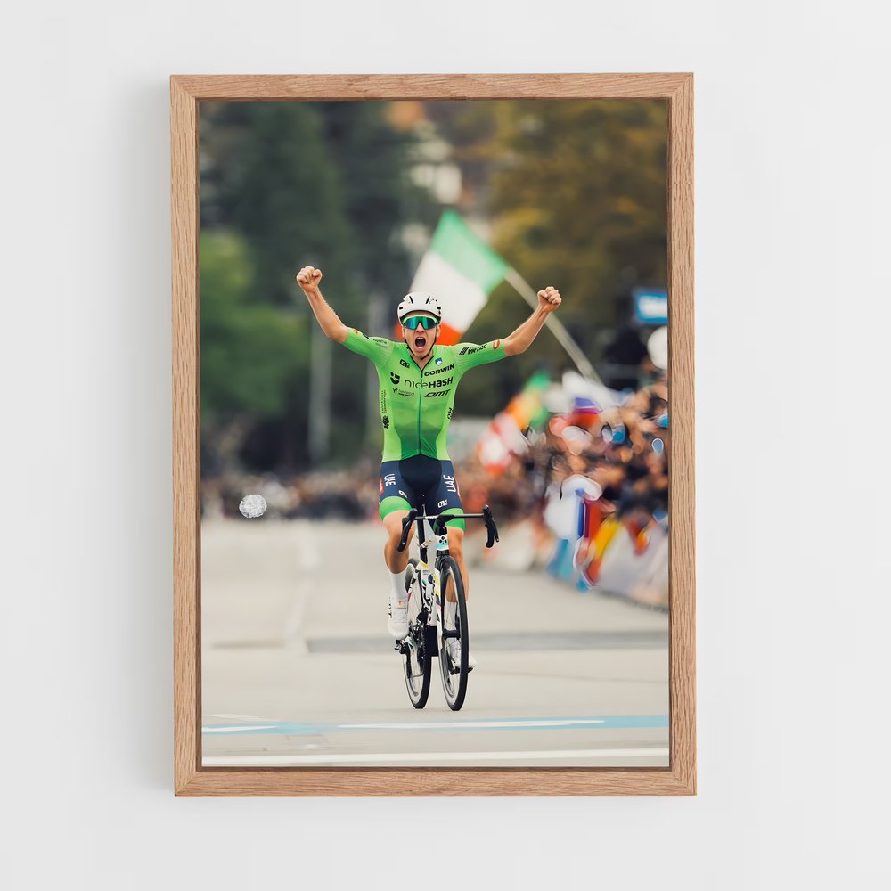 cyclism-2 cadre Bois clair