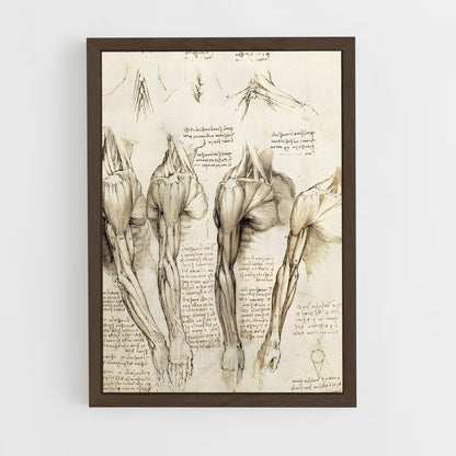 da-vinci-2 cadre Bois foncé