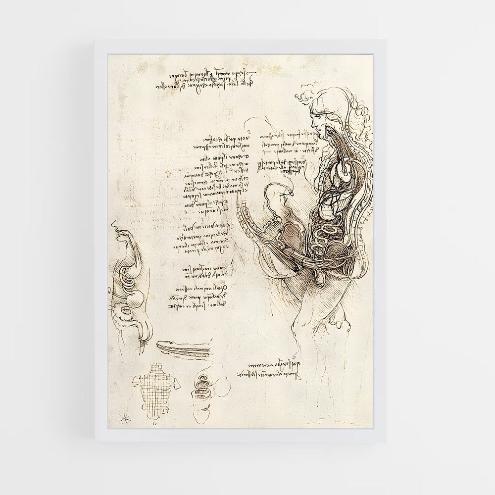 da-vinci-5 cadre Blanc