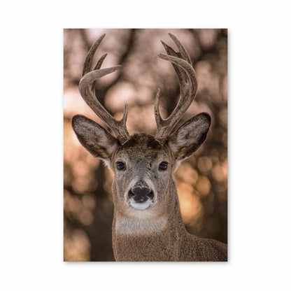 Niedliches Hirsch-Poster