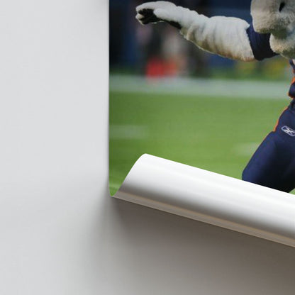 Maskottchen-Poster der Denver Broncos