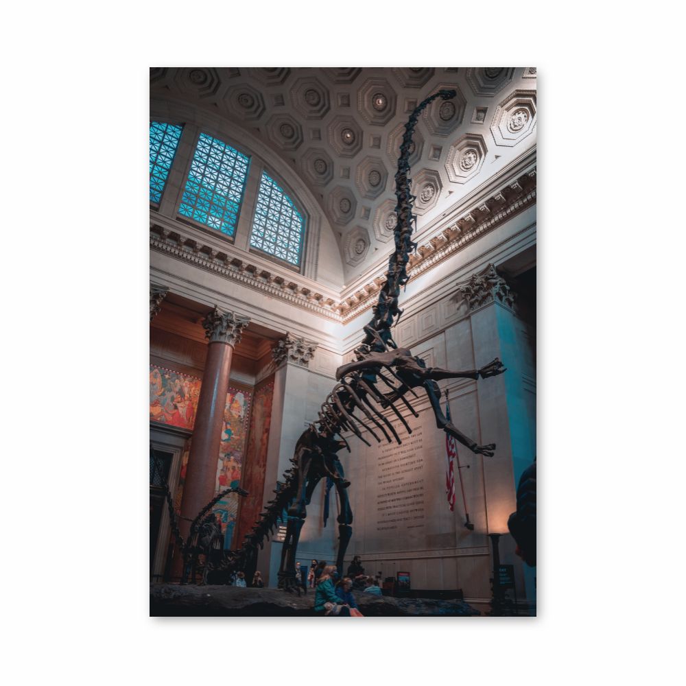 Diplodocus-Skelett-Poster