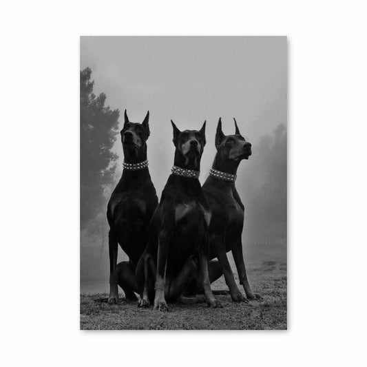 Dobermann-Poster