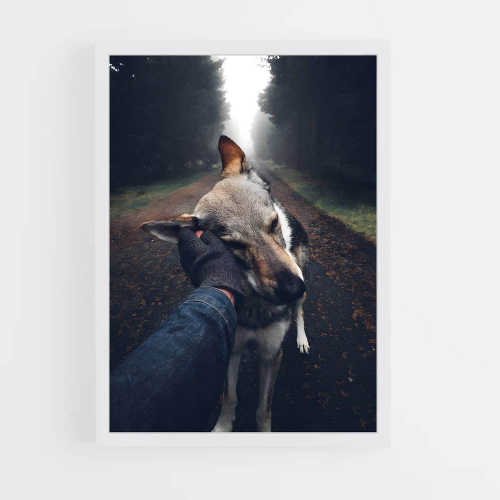 dog-4 cadre Blanc