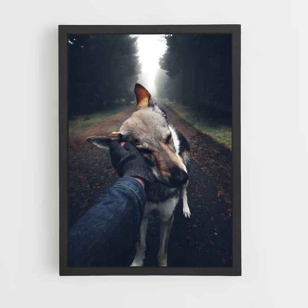 dog-4 cadre Noir