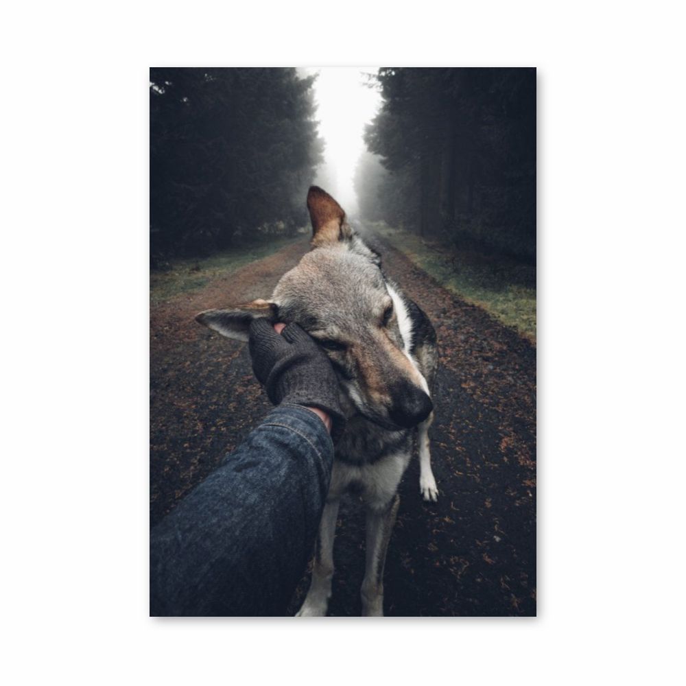 Waldhund-Poster