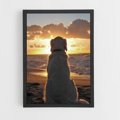 Hundestrand-Poster