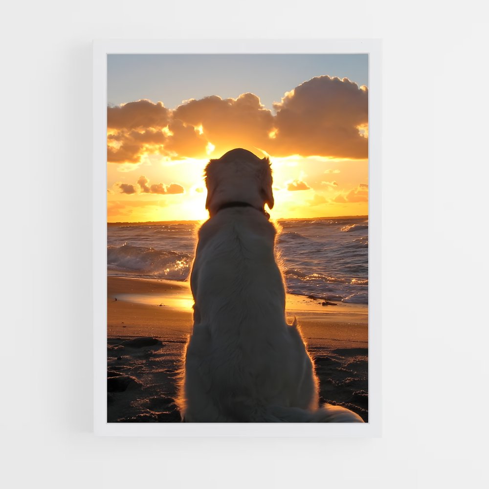 dog-5 cadre Blanc
