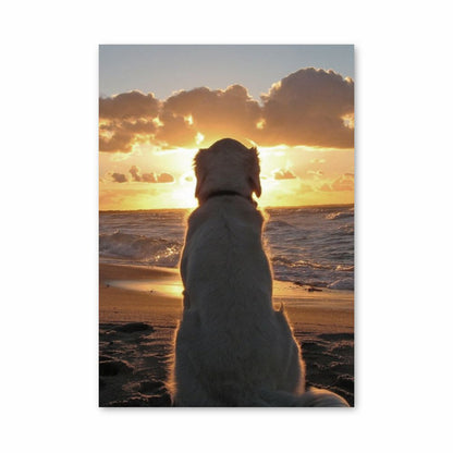 Hundestrand-Poster