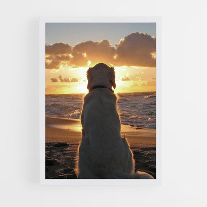 Hundestrand-Poster