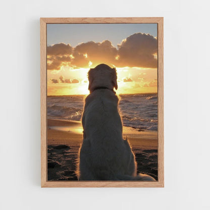 Hundestrand-Poster