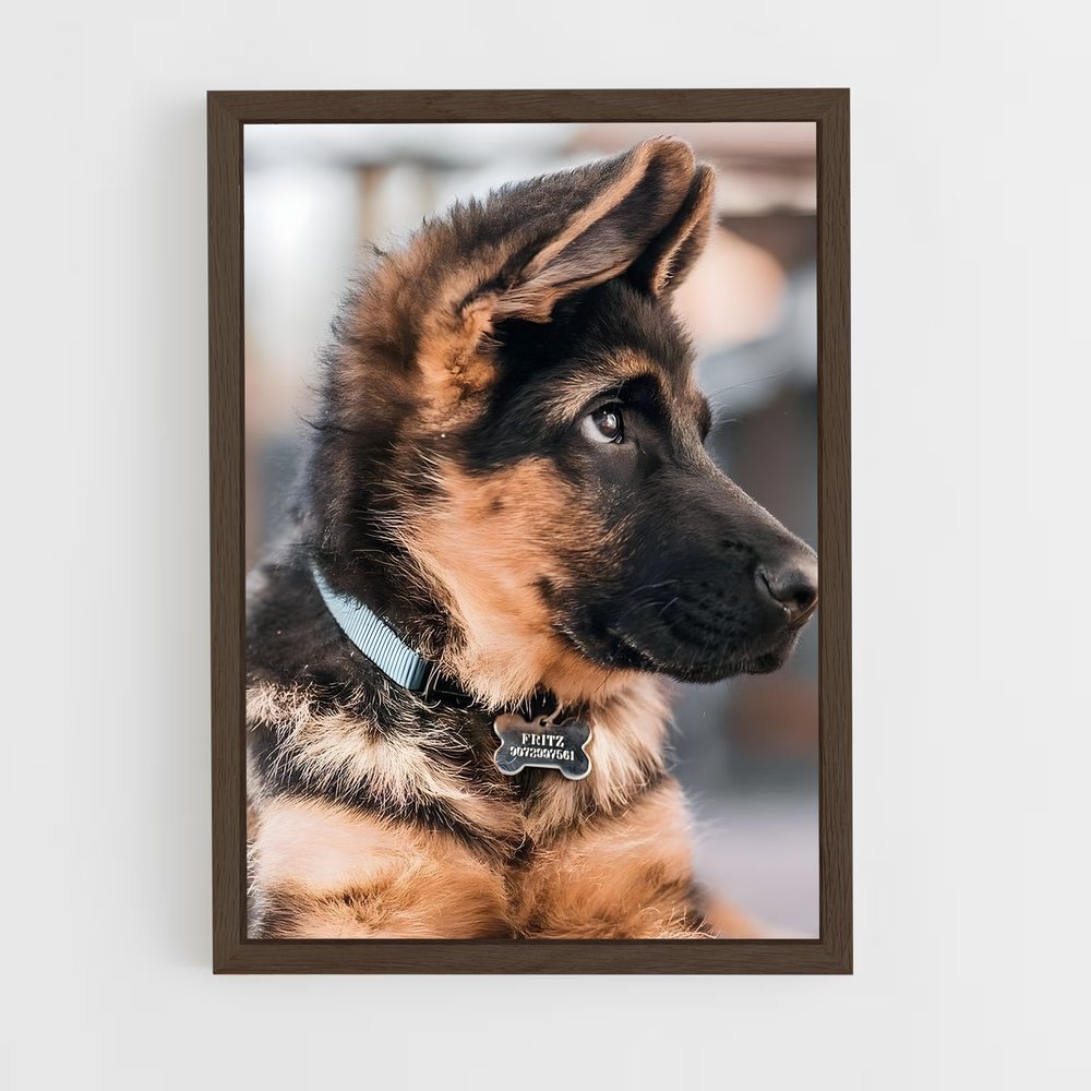 dog-6 cadre Bois foncé