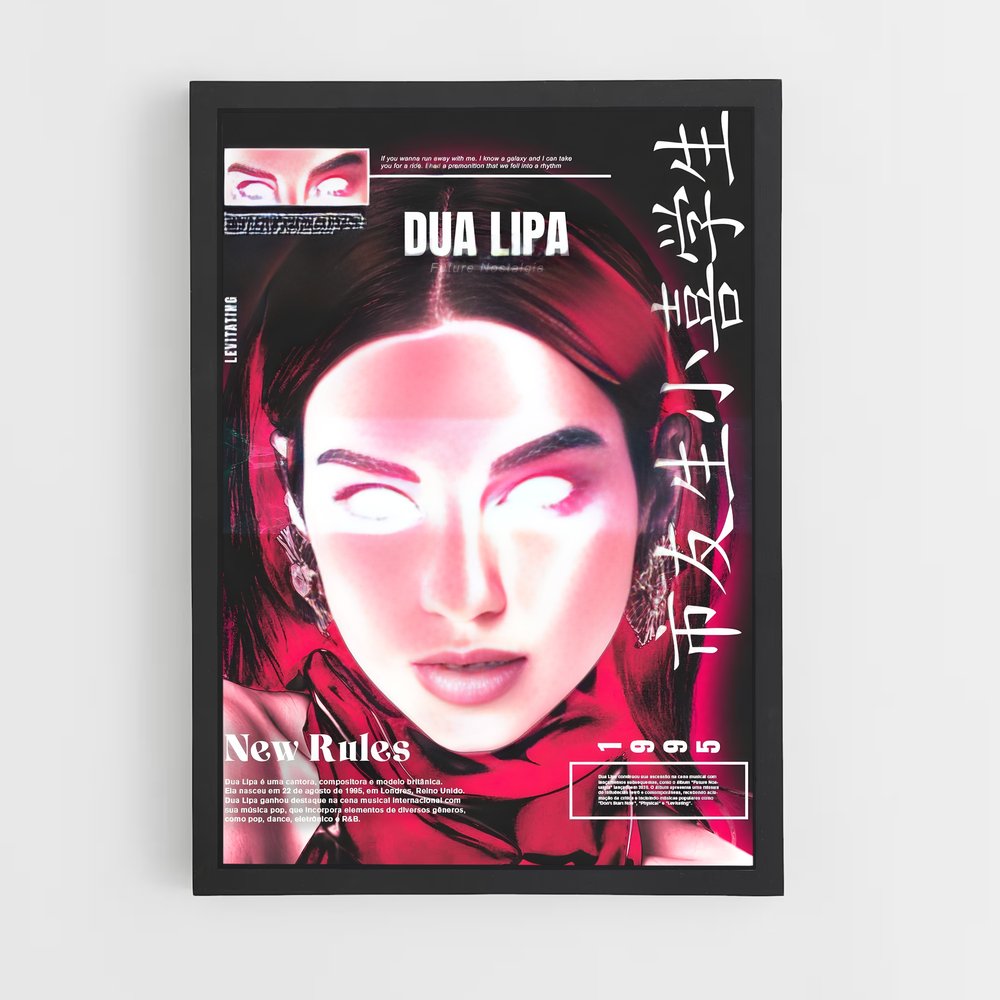 dua-lipa-22 cadre Noir
