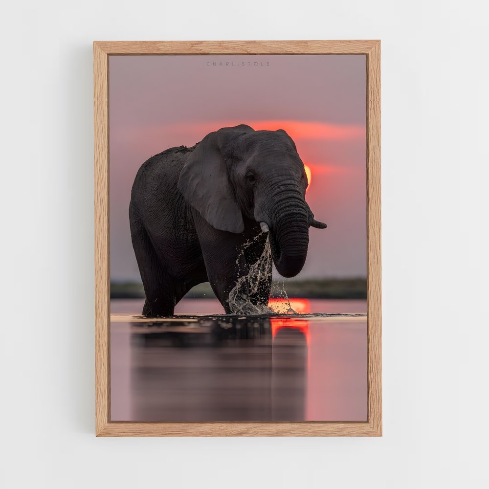 elephant-11 cadre Bois clair