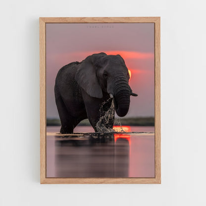 elephant-11 cadre Bois clair