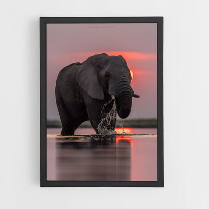 elephant-11 cadre Noir