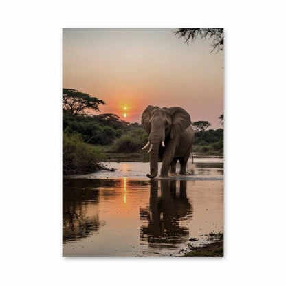 Poster Éléphant Afrique