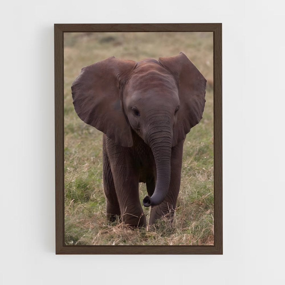 elephant-5 cadre Bois foncé