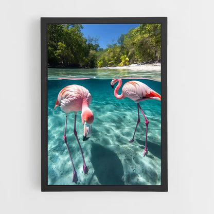flamingo-2 cadre Noir