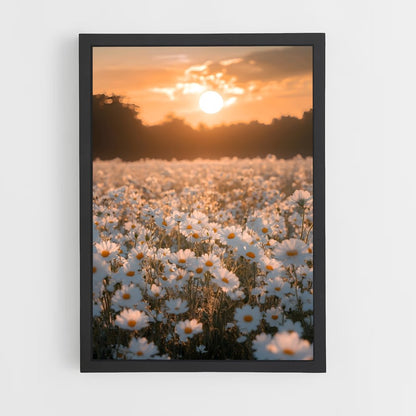 flower-10 cadre Noir