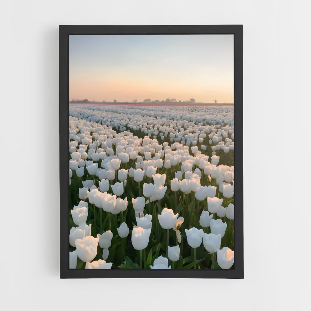 flower-13 cadre Noir