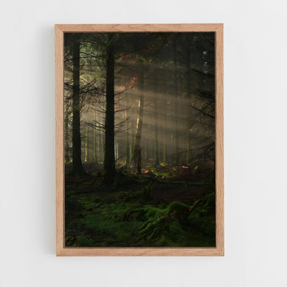 forest-2 cadre Bois clair