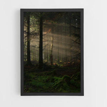 forest-2 cadre Noir