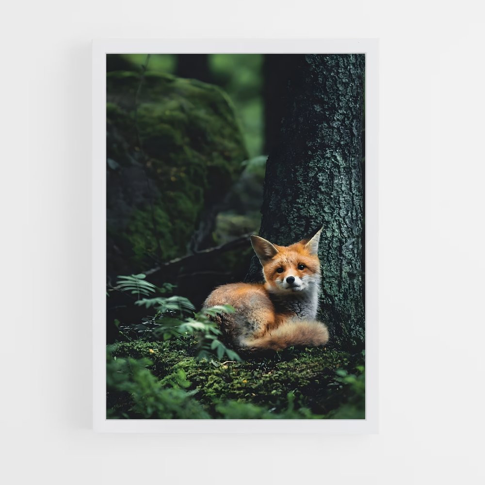 fox-1 cadre Blanc