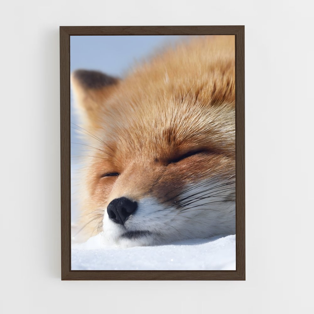 fox-5 cadre Bois foncé