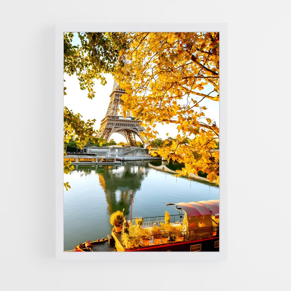 france-6 cadre Blanc