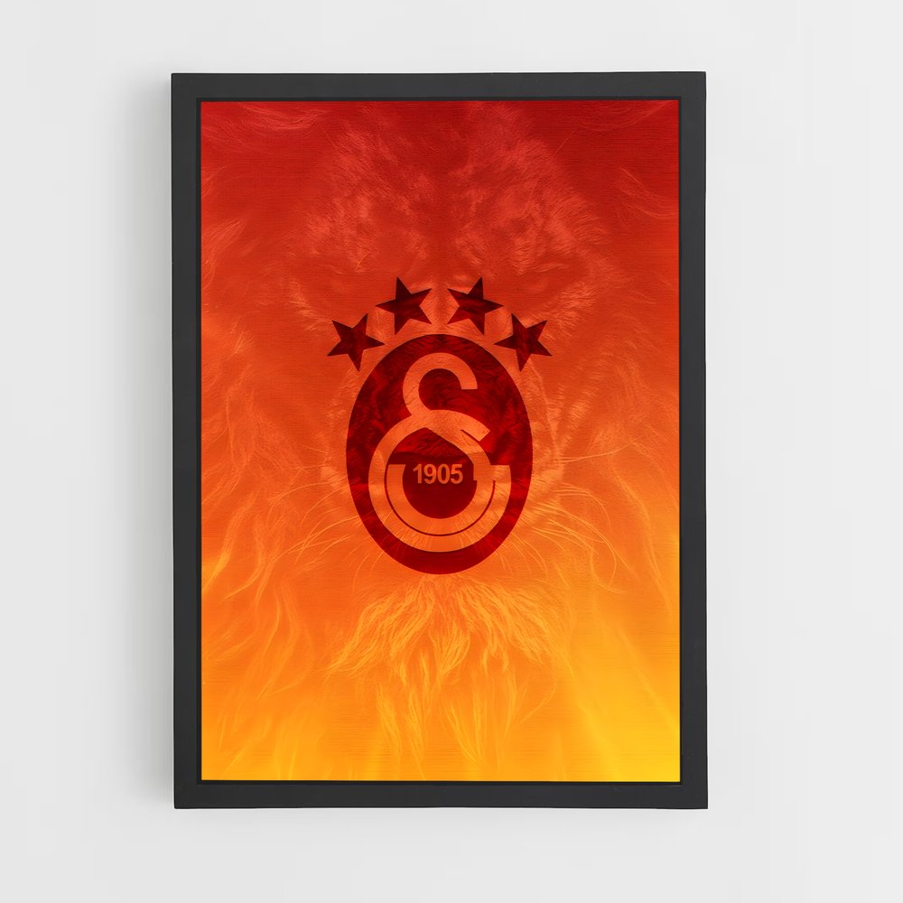 galatasaray-9 cadre Noir