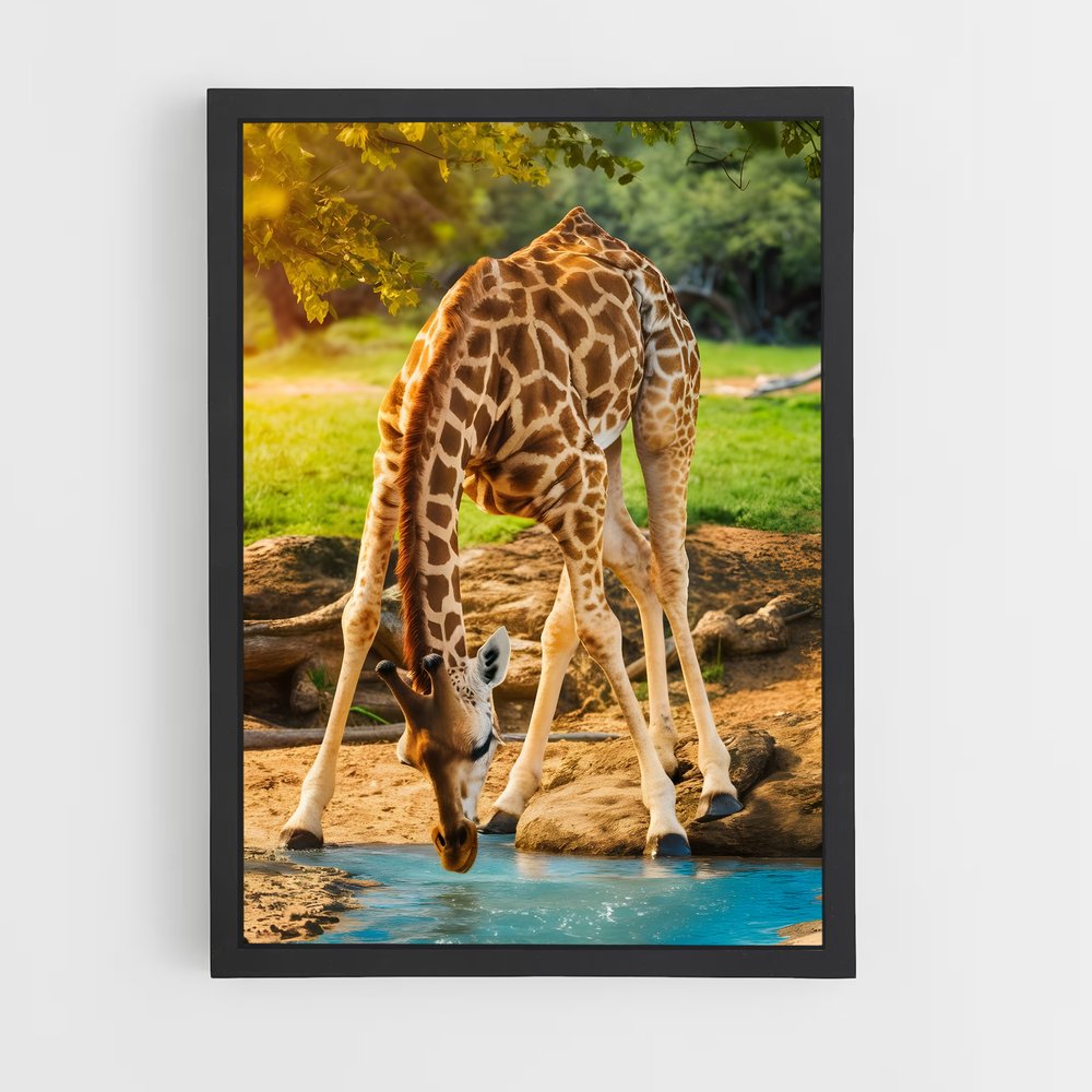 giraffe-4 cadre Noir